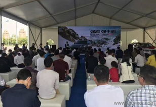 九星文化传媒 安源区大型庆典活动策划与专业演出设备服务商